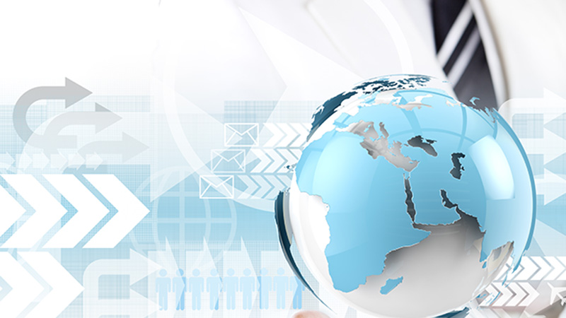 Perfil y Funciones del Gestor de Comunidades Virtuales