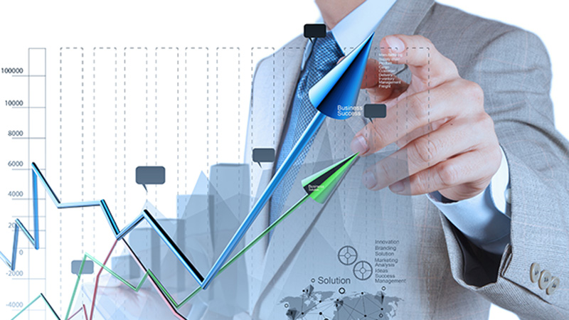 Plan de Marketing y Organización de Ventas