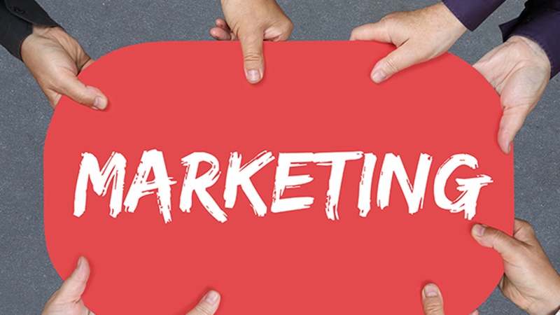 Marketing, Distribución Comercial y Fuerza de Ventas