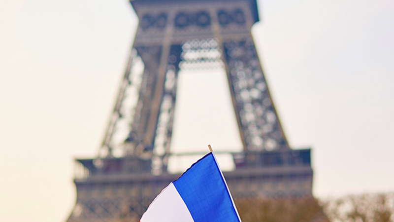 Francés A1 (Marco Común Europeo)