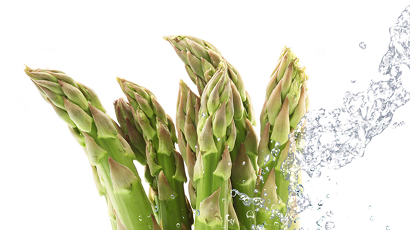 Preelaboración y conservación de alimentos