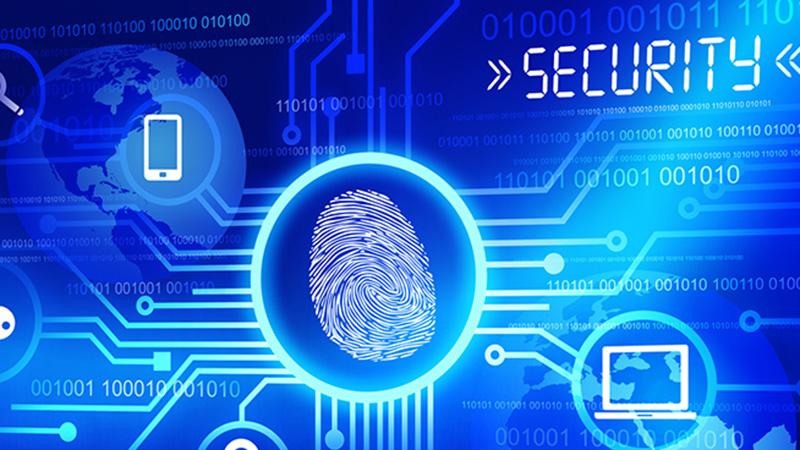 Protección de Equipos en la Red