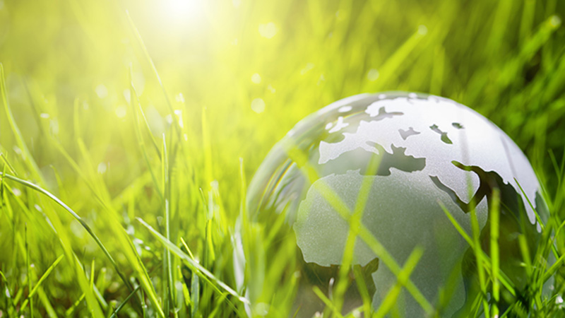 Sistema de Gestión Medioambiental en la Empresa