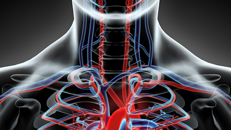 Soporte Vital Básico (AHA)