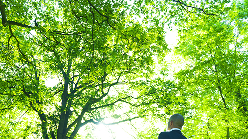 Desarrollo Sostenible de Proyectos