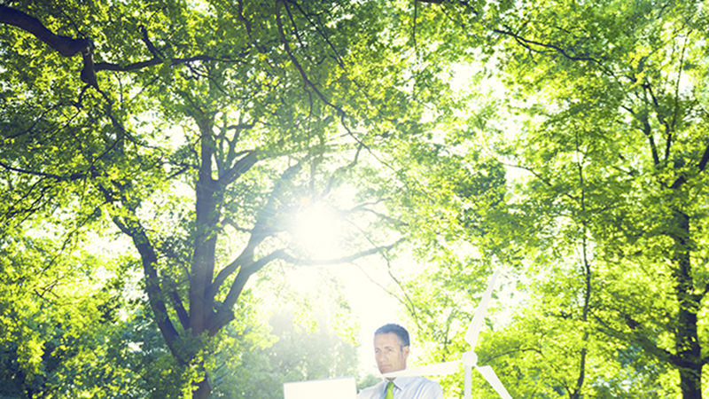 Sostenibilidad Ambiental