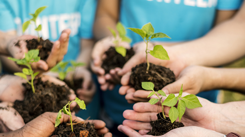 Sensibilización Ambiental