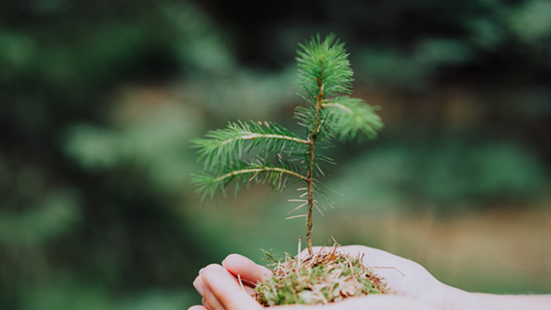 Sensibilización en Materia de Sostenibilidad (Módulo Digital y Sostenible)