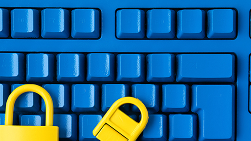 Seguridad y Civismo en el Entorno Digital. Nivel Básico