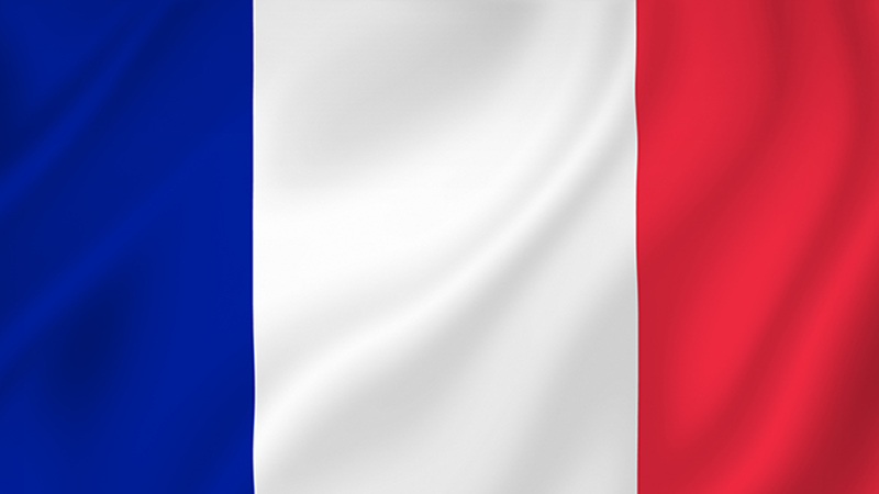 Comunicación en Lenguas Extranjeras para el Empleo (Francés) Nivel 2