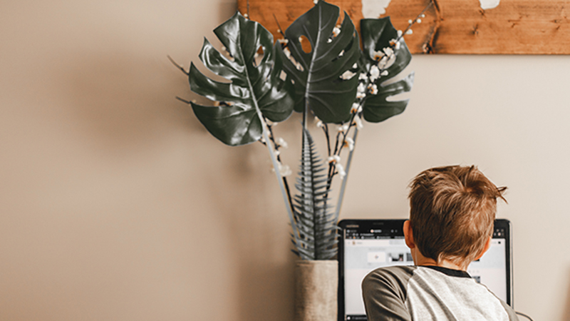 Competencias Digitales