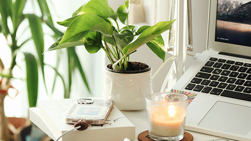 Desarrollo Sostenible y Gestión: Medio Ambiente a través de las Tecnologías