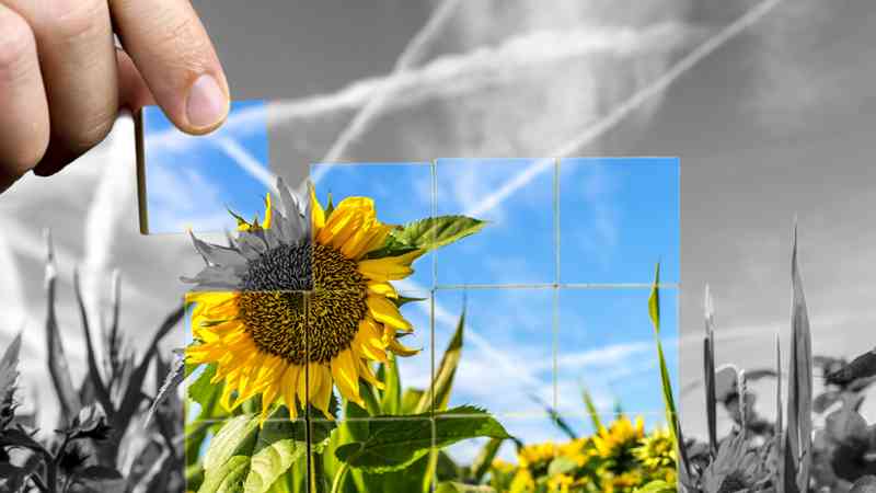 Marketing Verde/Ecológico